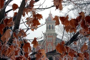 view of downtown Chardon building through frosted leaves